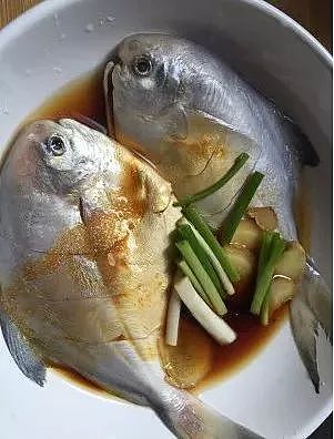 澳洲鱼市上鱼类品种繁多，究竟怎么吃？很多华人一头雾水…（视频） - 24