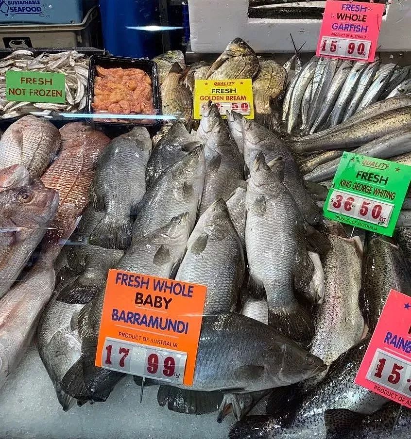 澳洲鱼市上鱼类品种繁多，究竟怎么吃？很多华人一头雾水…（视频） - 27