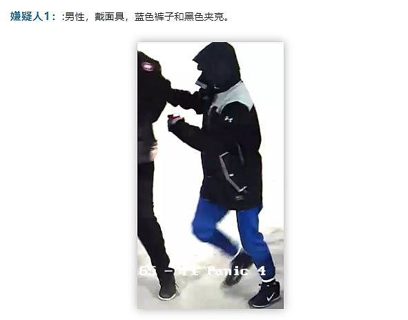 中国留学生陆万祯绑架案第三名疑犯宣布被捕！年仅22岁（组图） - 3