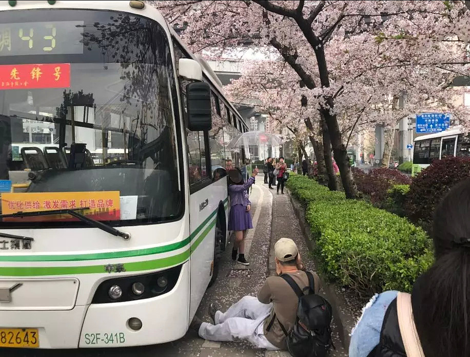 快看，树上挂满中国大妈！“中国式赏花”刷屏，折枝、摇花雨，遭外媒讥讽！（组图） - 35