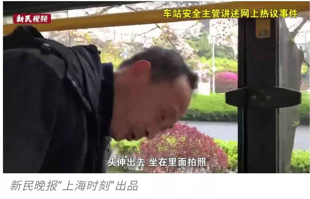 快看，树上挂满中国大妈！“中国式赏花”刷屏，折枝、摇花雨，遭外媒讥讽！（组图） - 37