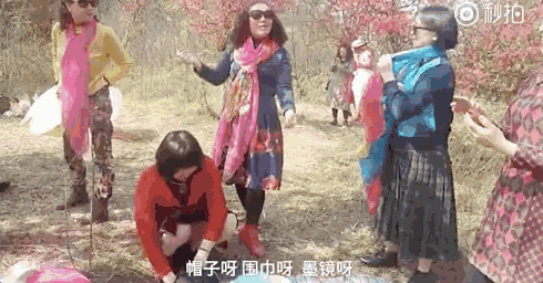 快看，树上挂满中国大妈！“中国式赏花”刷屏，折枝、摇花雨，遭外媒讥讽！（组图） - 49