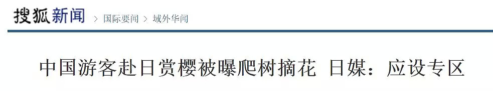 快看，树上挂满中国大妈！“中国式赏花”刷屏，折枝、摇花雨，遭外媒讥讽！（组图） - 62
