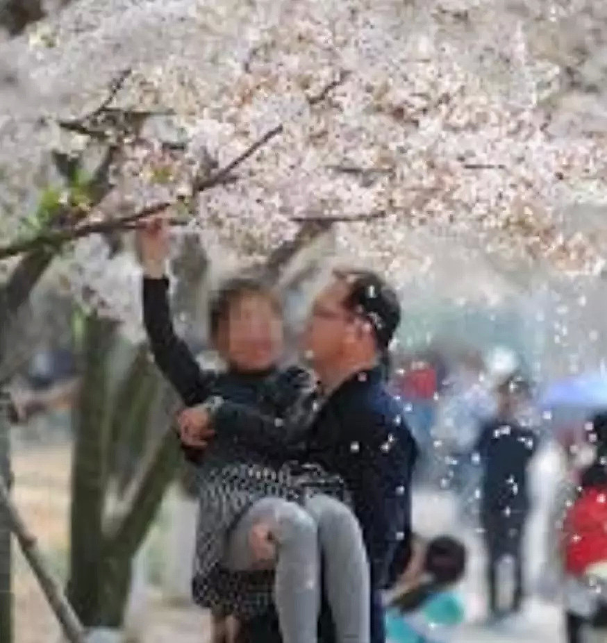 快看，树上挂满中国大妈！“中国式赏花”刷屏，折枝、摇花雨，遭外媒讥讽！（组图） - 70