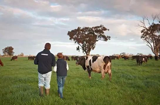 惊闻！澳洲牛奶竟然不够了！专家说，澳洲人以后喝奶可能要进口 - 13
