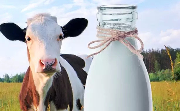 惊闻！澳洲牛奶竟然不够了！专家说，澳洲人以后喝奶可能要进口 - 24