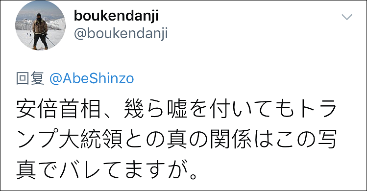 特朗普夫妇独霸红毯 日本网友炸了（组图） - 10