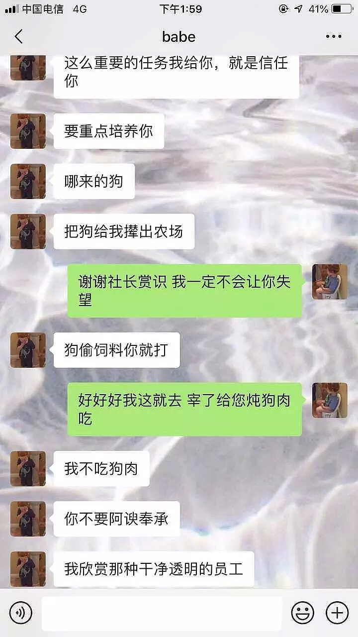 今日份的沙雕快乐，我快要承受不住了哈哈哈哈哈（视频/组图） - 30