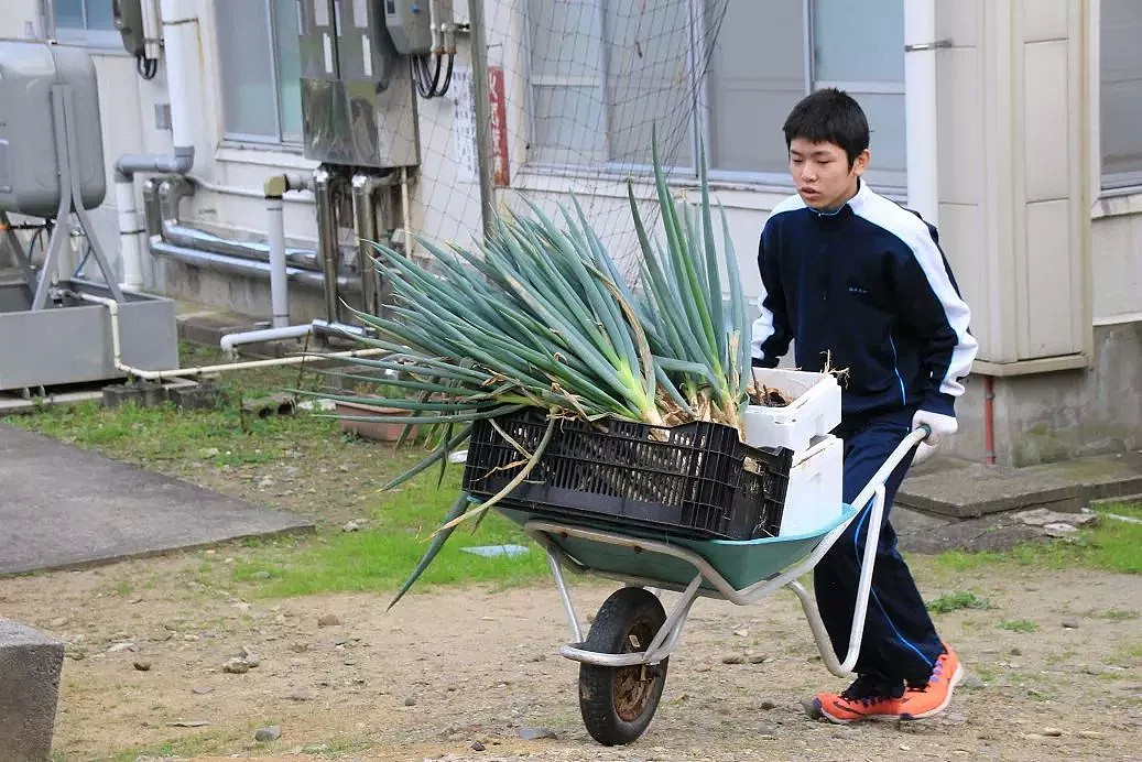 日本再现“专为一个人而设的学校”！全校仅5名老师、1名学生！（组图） - 35