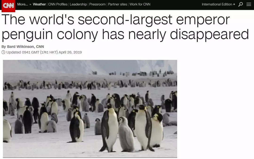 世界第二大帝企鹅繁衍地基本消失！数千企鹅宝宝全部溺亡！也许人类就是下一个（组图） - 8