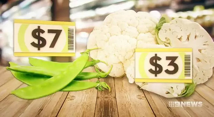 昆士兰宣布全州近65%区域进入干旱，果蔬鲜肉涨价局面或将卷土重来 - 12