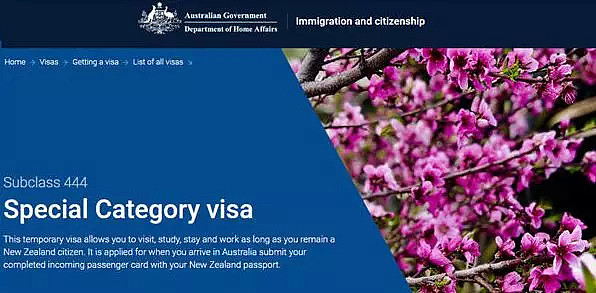 两周后，新西兰人有望摆脱澳洲“二等公民”身份！但这取决于一件事... - 3