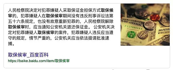 要引渡回国，甚至取消护照？！接起一通电话，新西兰华人姑娘就这样卷入了“惊天大案”…（组图） - 18