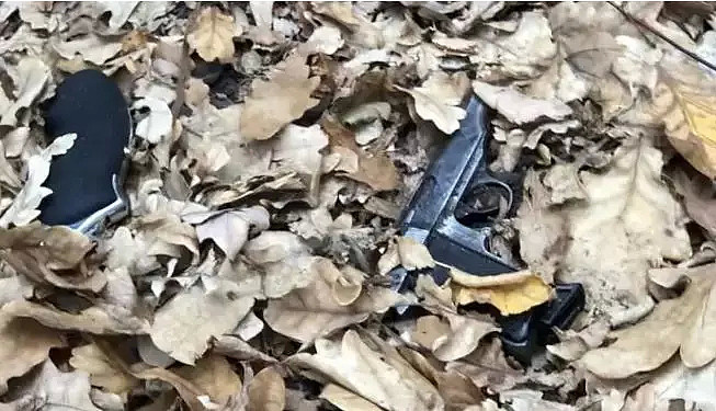 小孩在墨尔本公园找到两支枪，警方承认工作失误，向公众道歉 - 6