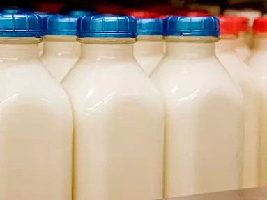 奶农即将疯狂！澳洲最新“黑科技”，鲜奶达60天保存期，运到中国价格翻倍！（组图） - 5