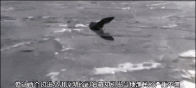 安徽男子偷偷钓鱼被火箭炮“轰炸”？向民警哭诉：钓个鱼至于吗！