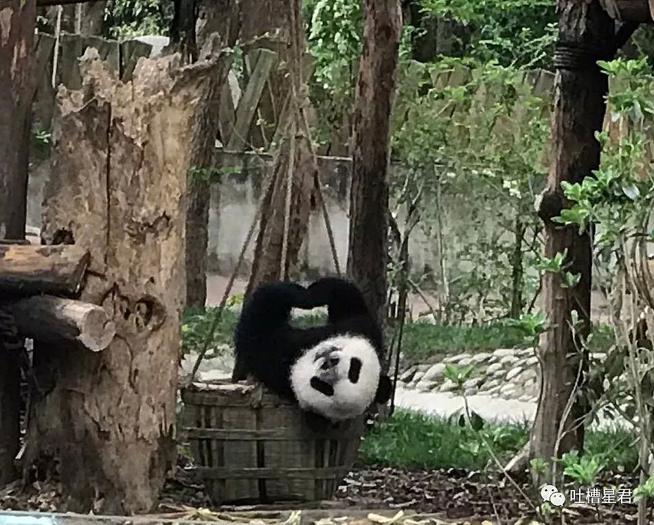 不经意间进了个成年人交友群，结果被骗五千块...对话套路太深了吧（组图） - 5