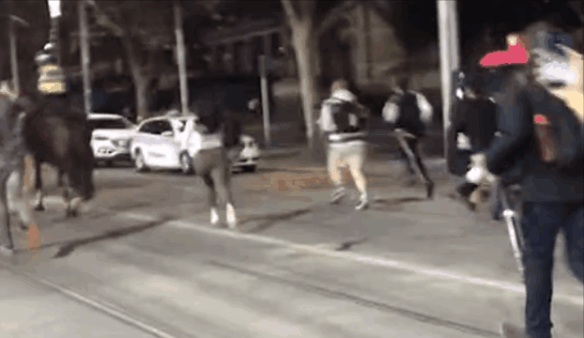 近日多名华人惨遭袭击！在澳洲街头，看到这些人赶快走，警察也管不了！（视频） - 8