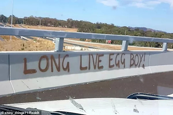 砸鸡蛋，已上升至袭击事件！中国留学生在悉尼Westfield、华人区遭袭！“从没对澳洲治安有期待....” - 39