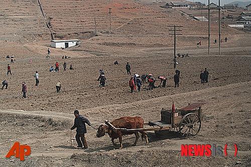 朝鲜正遭十年来最严重粮食短缺，影响全国40%人口（组图） - 6