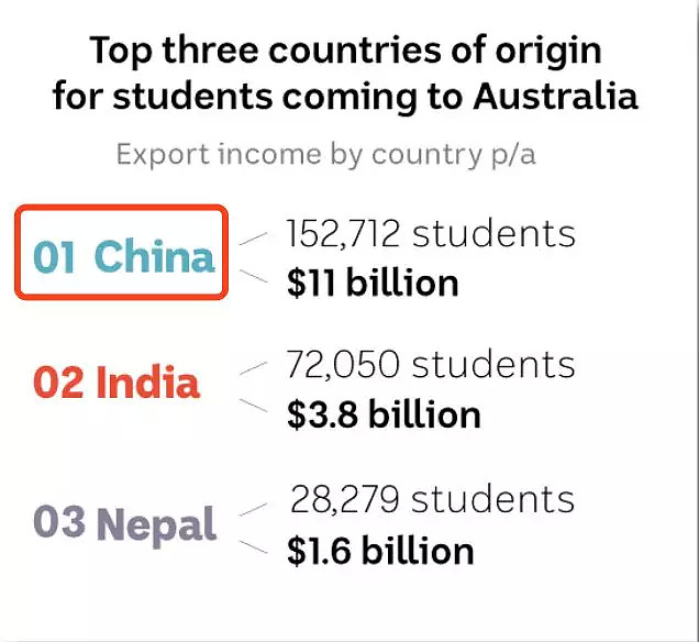 留学生上课靠翻译，IT研究生不会用usb！澳洲大学给中国留学生放水，“圈钱”110个亿！？中国留学生：这个锅我们不背！ - 11