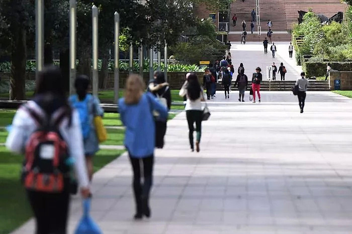 留学生上课靠翻译，IT研究生不会用usb！澳洲大学给中国留学生放水，“圈钱”110个亿！？中国留学生：这个锅我们不背！ - 31