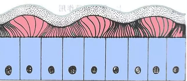 “太阳花女神”疯狂作死把鼻子折腾到穿孔，修复3次变成伏地魔！（组图） - 30