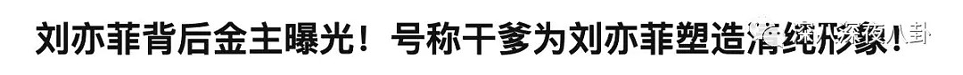 “二代天仙”杨采钰上位记：精准狙击刘亦菲干爹（组图） - 27