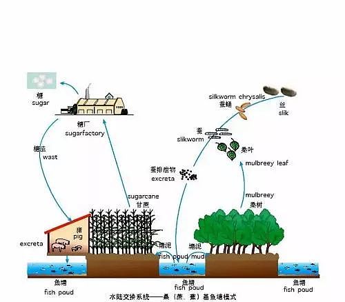 人民日报：中国人 饿不死!这组数据震撼外国人（组图） - 11