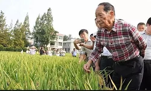 人民日报：中国人 饿不死!这组数据震撼外国人（组图） - 48