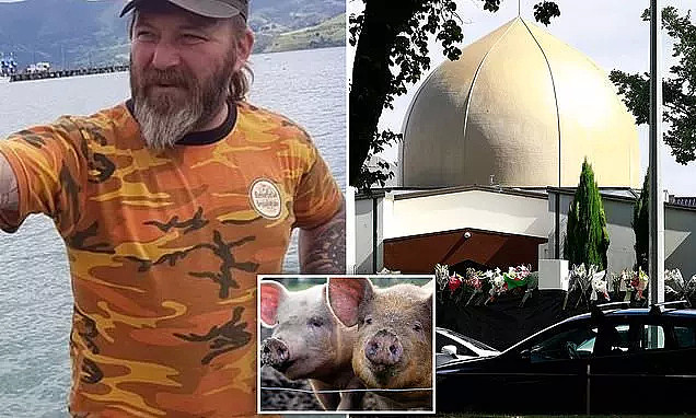 新西兰恐袭背后：白人至上主义者寄猪头给穆斯林（组图） - 1