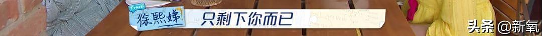 谎话连篇、学历造假被扒，插刀被闺蜜团除名，还舔着脸来蹭热度？