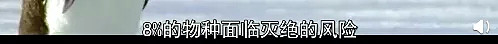 BBC揭秘气候变化真相：留给人类的时间不多了！（组图） - 89