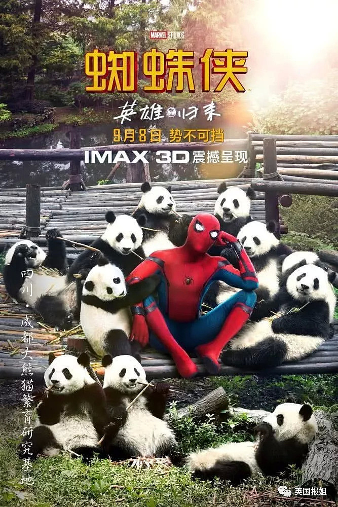 为了中国观众（的钱），小蜘蛛提前五天上映，美国网友气哭了（视频/组图） - 29