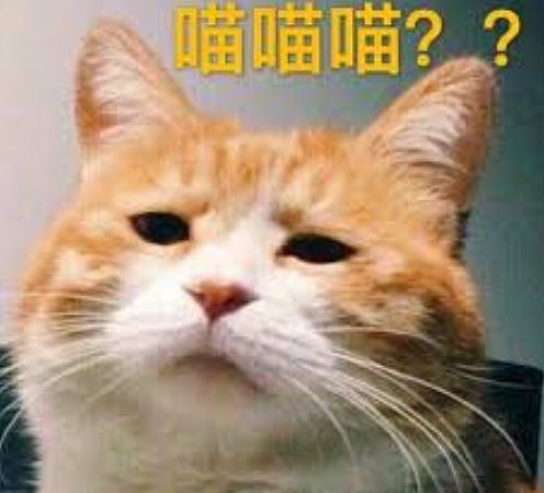 澳媒爆出“中国干涉大选“文章，华裔候选人及华人社团表示这个锅不背！（组图） - 3