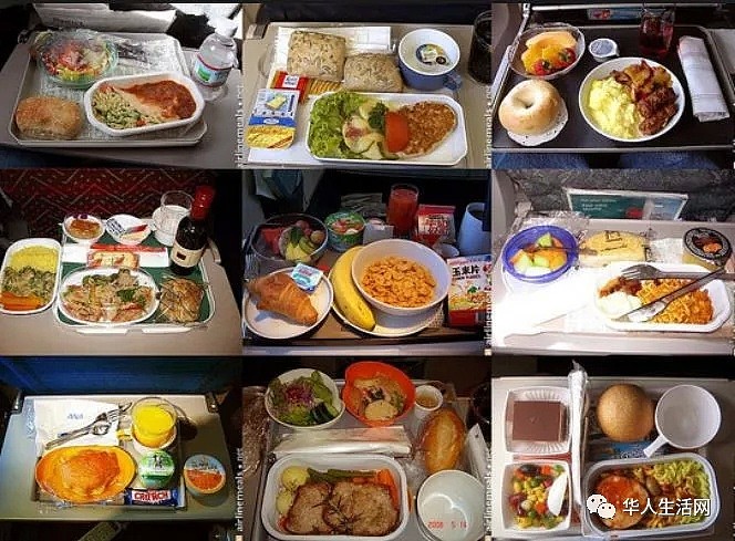在飞机上提出这些要求的人，飞机餐都被特供，看完心里哇凉哇凉（组图） - 1