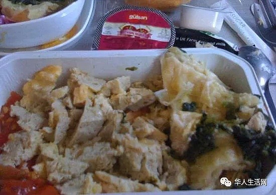 在飞机上提出这些要求的人，飞机餐都被特供，看完心里哇凉哇凉（组图） - 16