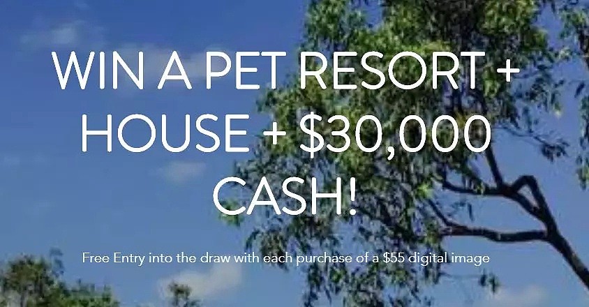 澳洲妈妈出售旗下$152万宠物度假村，而你只需要花$55？！ - 3