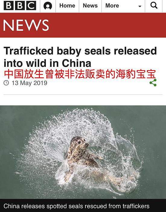 BBC报道称，中国警方几个月前从非法猎捕者手中救出了71头小海豹。