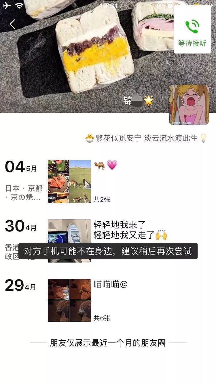 布里斯班高二女生买猫付款后被拉黑, 针对澳洲华人的骗局屡见不鲜 - 1