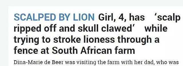女孩在南非违反规定逗弄母狮，惨被一爪扯掉头皮…（组图） - 1