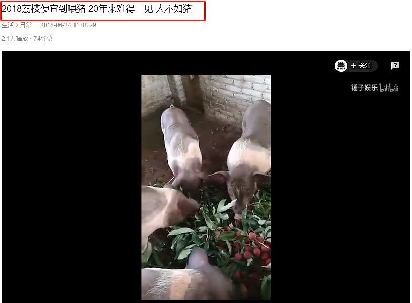 大陆民众叫苦！为什么猪肉水果蔬菜都在涨价？（组图） - 9