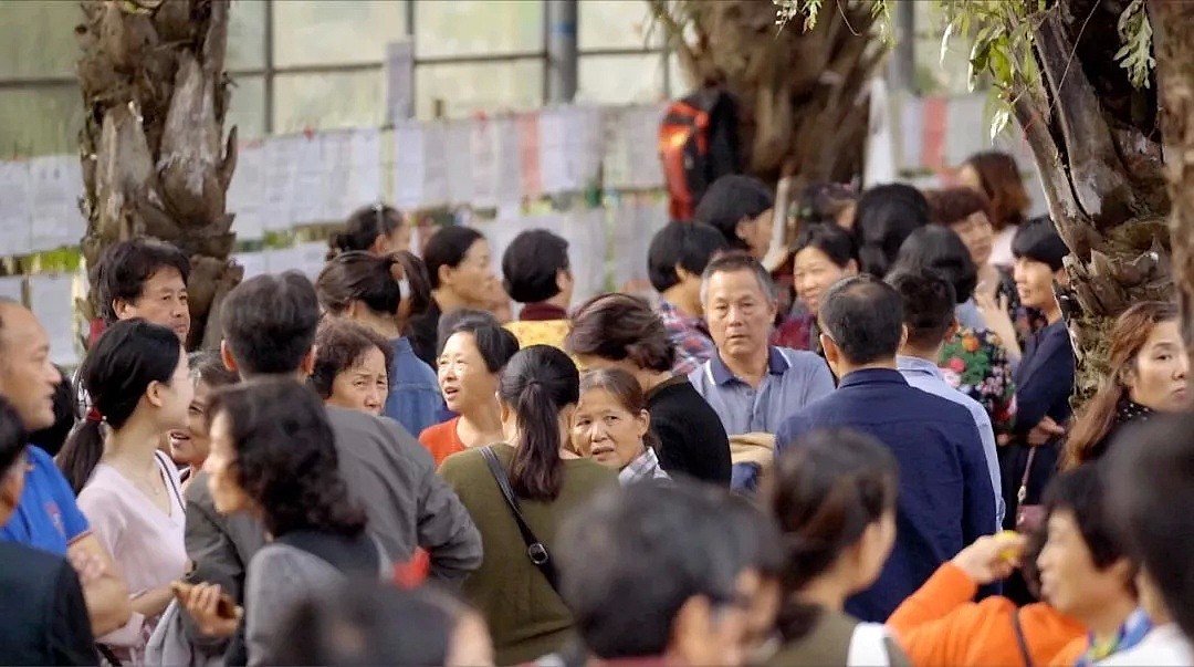 中国正在经历第四次单身潮，一半男女不主动恋爱（视频/组图） - 8