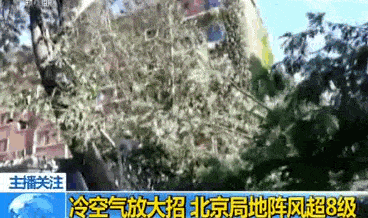 北京遭强风袭击！4人身亡 航班经历惊魂一刻！！！（视频/组图） - 1