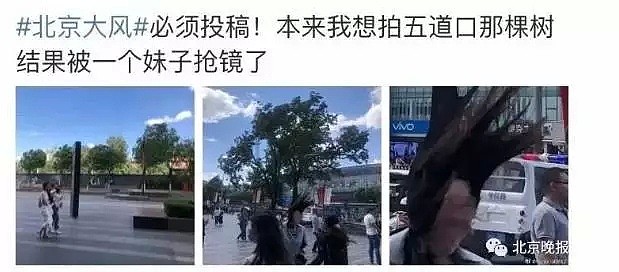 北京遭强风袭击！4人身亡 航班经历惊魂一刻！！！（视频/组图） - 11