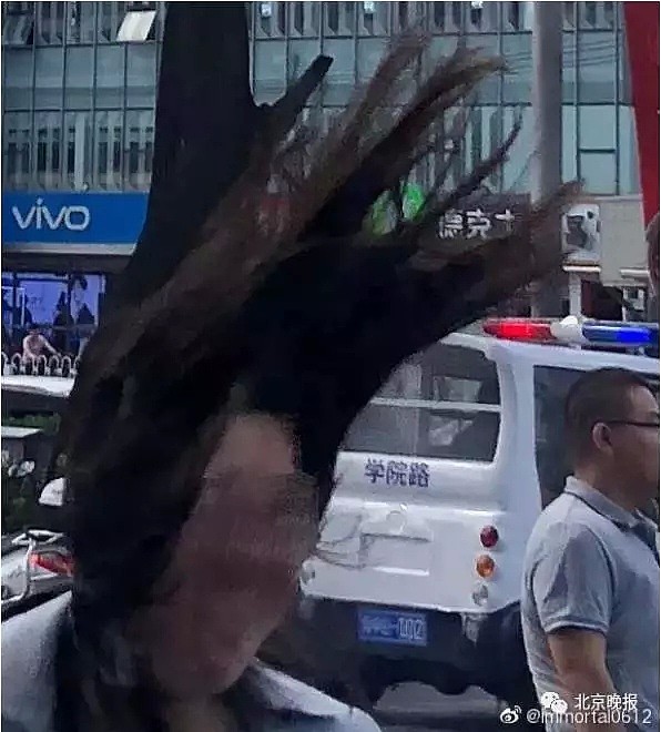 北京遭强风袭击！4人身亡 航班经历惊魂一刻！！！（视频/组图） - 12