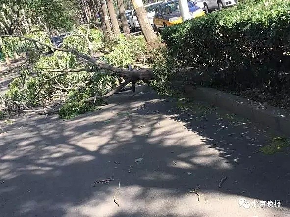 北京遭强风袭击！4人身亡 航班经历惊魂一刻！！！（视频/组图） - 14