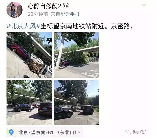 北京遭强风袭击！4人身亡 航班经历惊魂一刻！！！（视频/组图） - 15