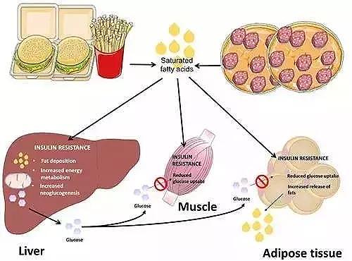 素食动物恐怖吃肉记：牛吃兔、马杀鸡、松鼠吃小鸟……