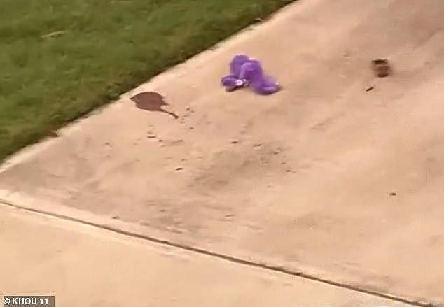 美国3岁女孩在家被4岁亲哥误开车当场撞死，现场血液四溅